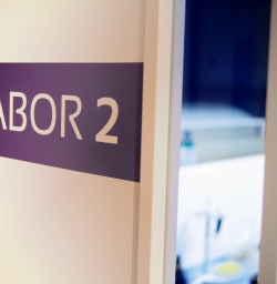 Labor 2