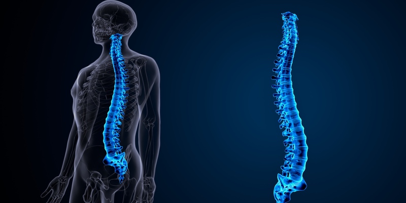 Endokrinologie: Osteoporose frühzeitig erkennen